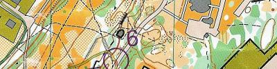 Sprint-SM kval