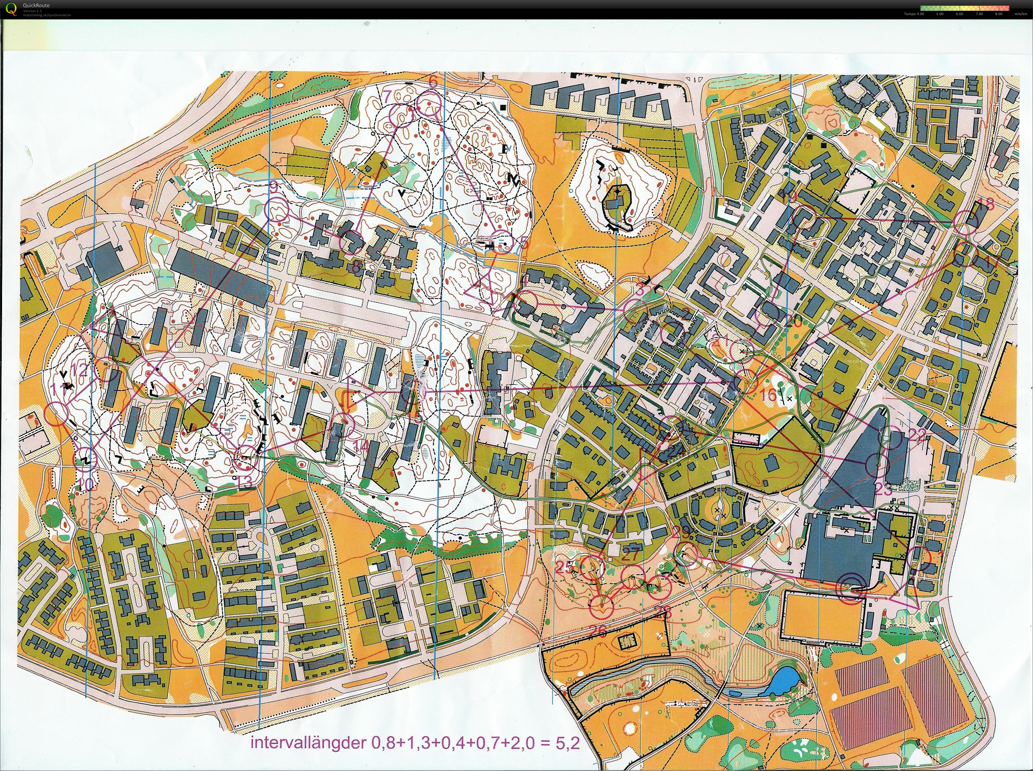 Sprintintervaller á la Ridefelt (2010-10-01)