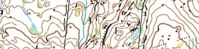 O-ringen, Etapp 4